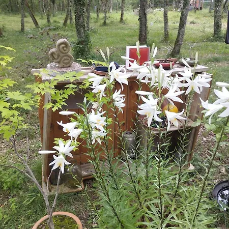 Pied A Terre Dans Les Gorges De L'aveyron *